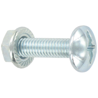 Tray Nut & Bolt M6x12 BZP