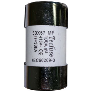 House Cut Out Long Fuse 100A 30.16mm